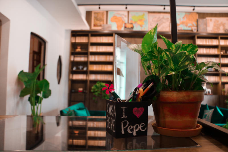 Best hostels in Mexico City - Casa Pepe