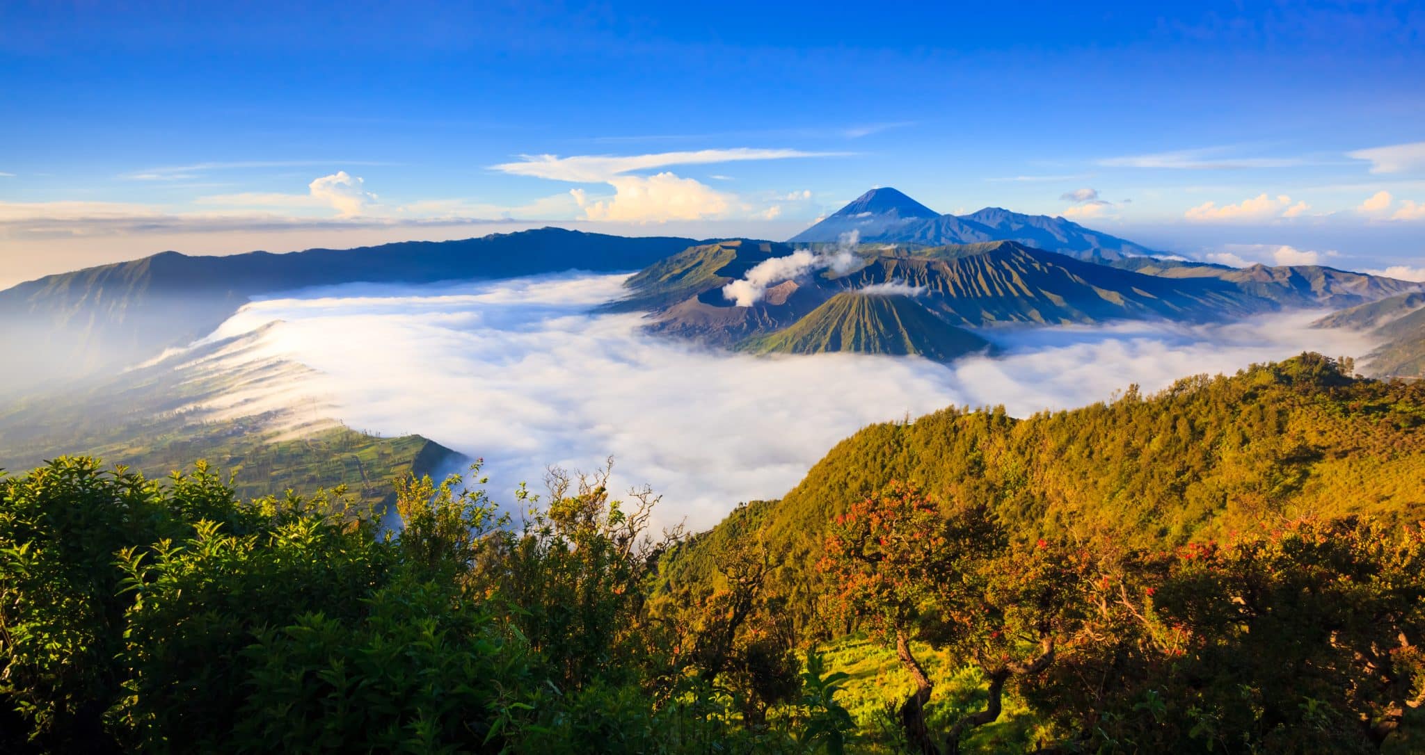 Indonesia