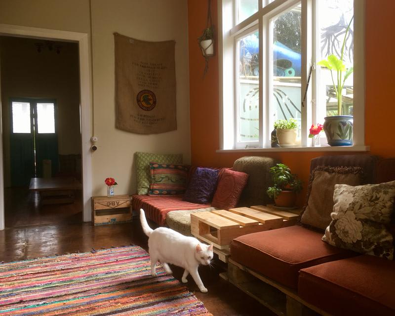 best hostels in auckland - Fat Cat Travellers Community