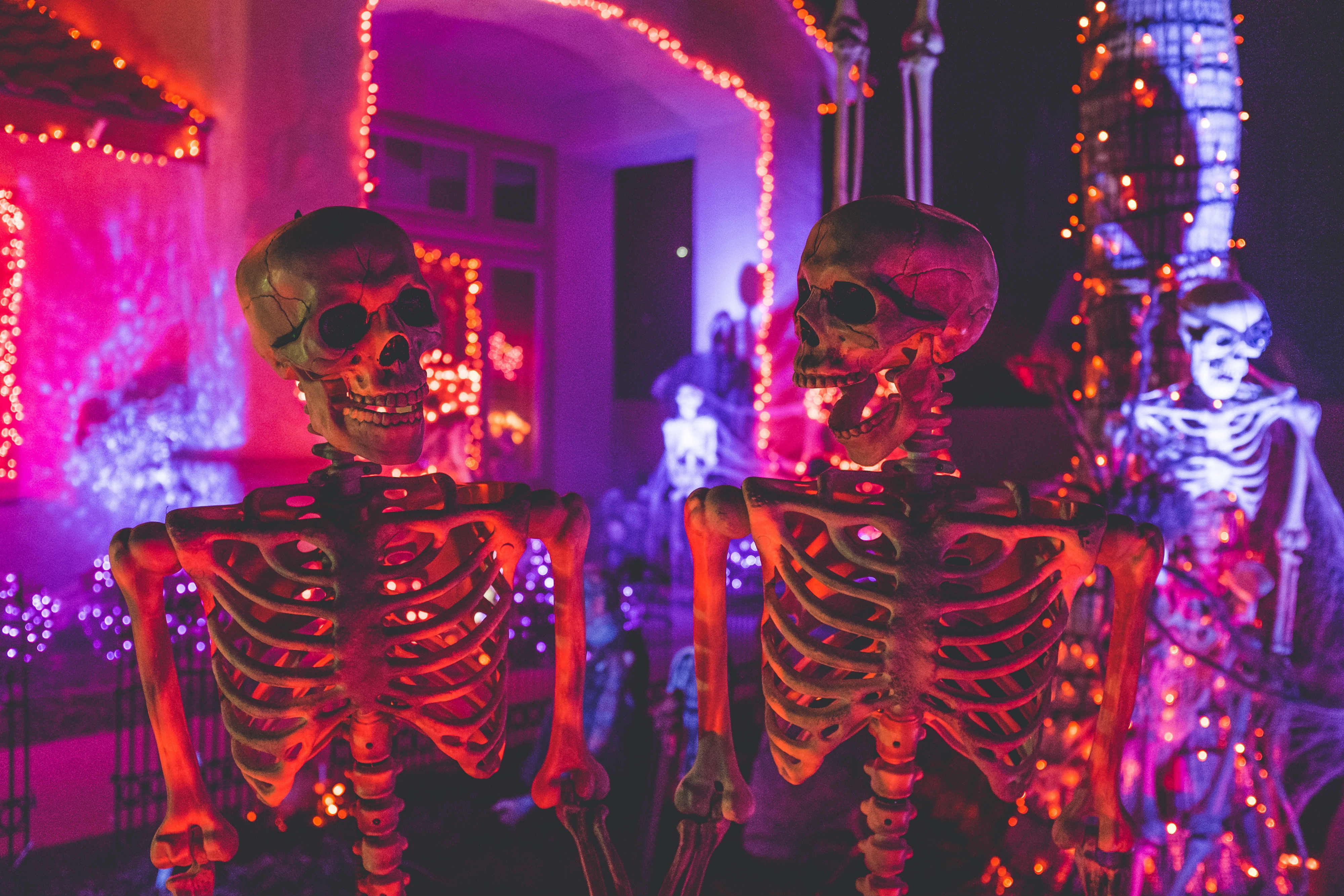 squelettes d'Halloween