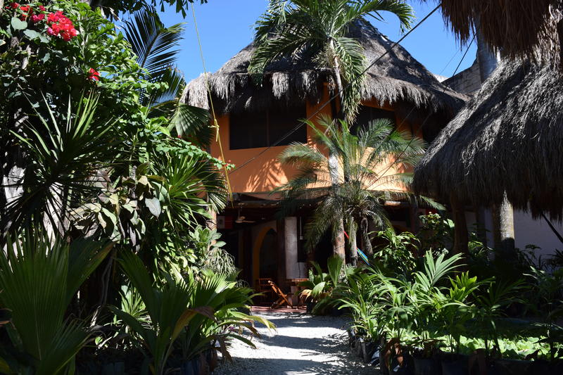 best hostels in tulum - Hostel Sheck