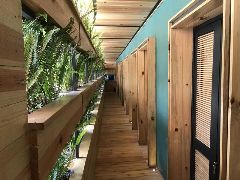 Best hostels in Mexico City - The Foodie Hostel